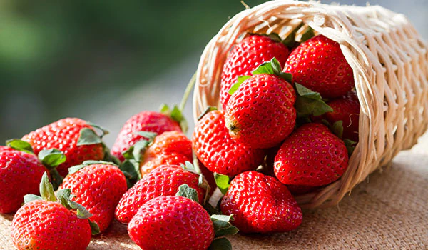 Are Strawberry Trees Right for You?